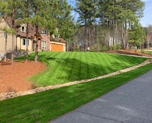Hickory, NC landscaping seeding sod