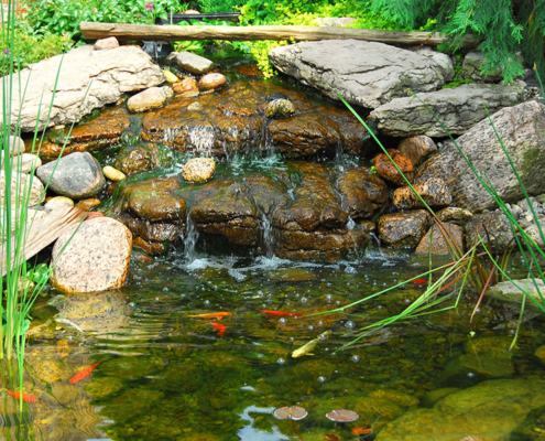 Hickory, NC fish pond with waterfall